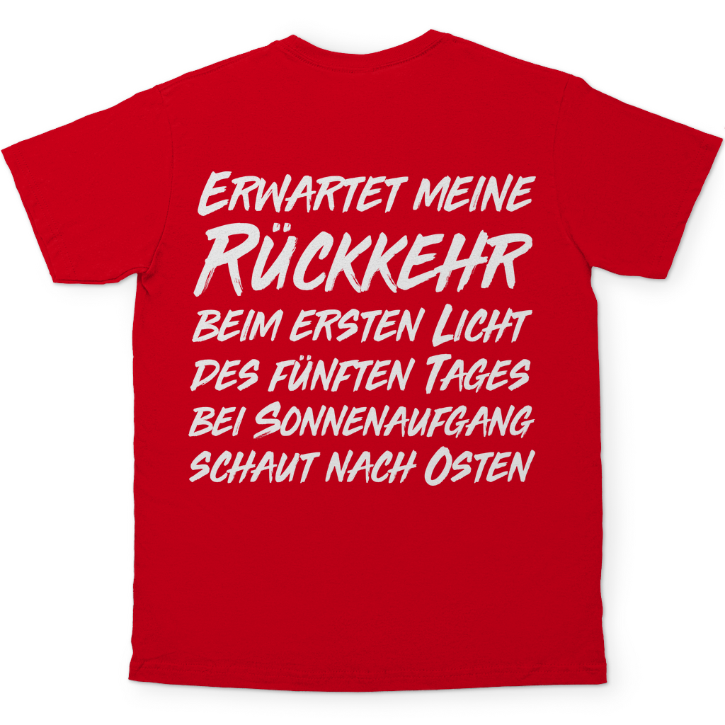 Gönndalf der Blaue Gandalf Toon - Beidseitiger Druck - Herren Shirt