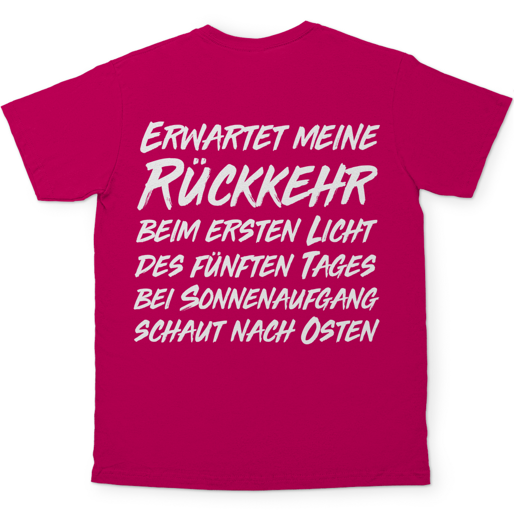 Gönndalf der Blaue Gandalf Toon - Beidseitiger Druck - Herren Shirt