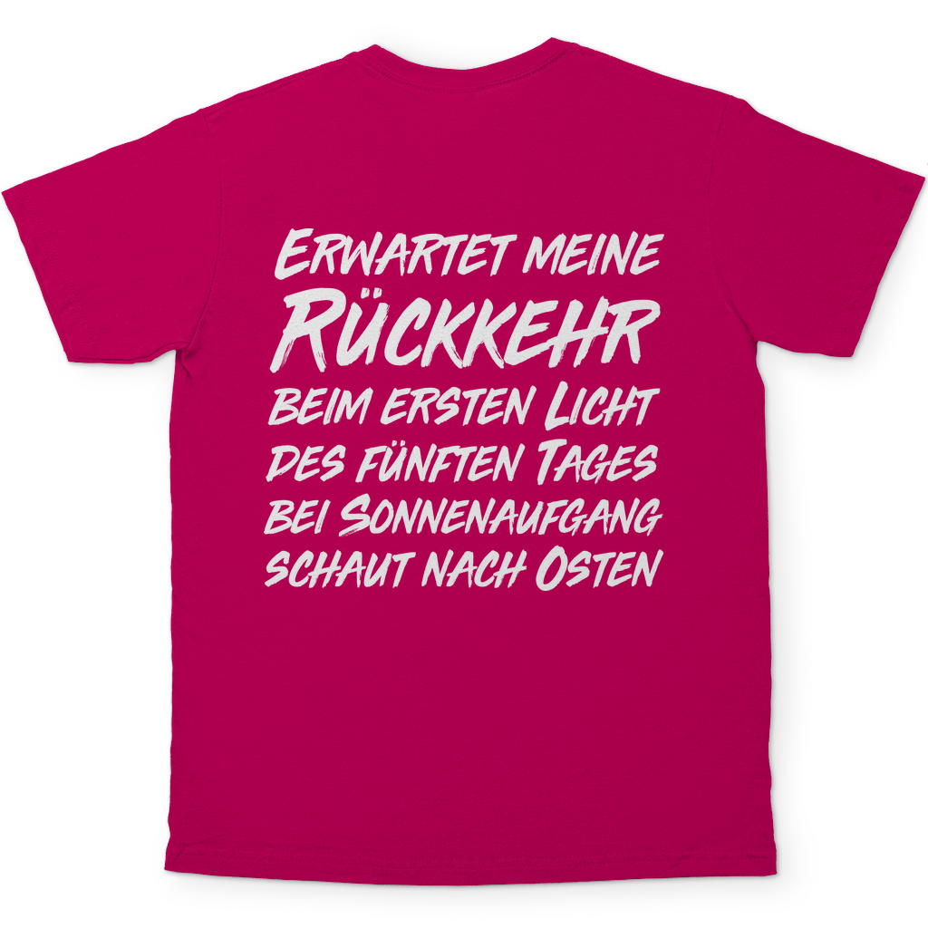 Gönndalf der Blaue Herren Shirt in Rosa hinten